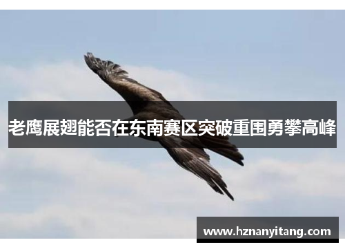 老鹰展翅能否在东南赛区突破重围勇攀高峰